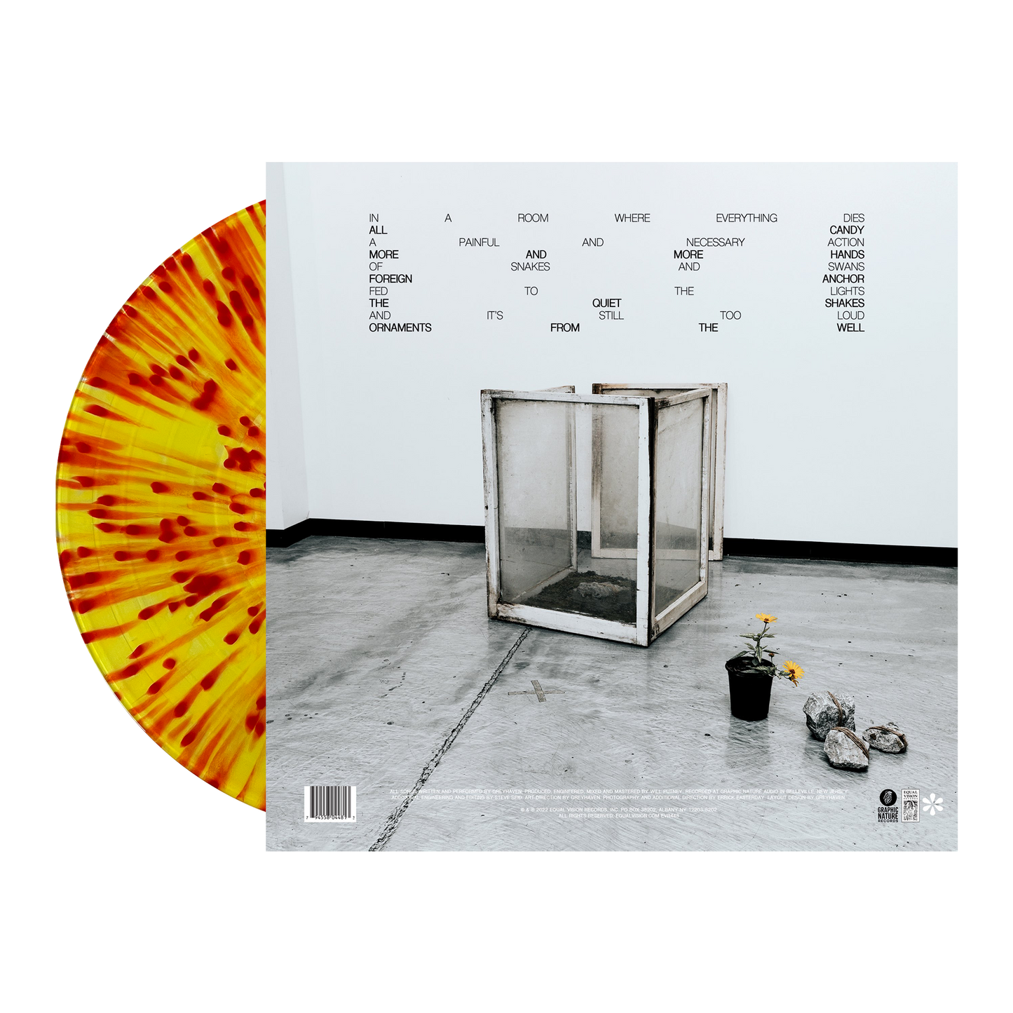 This Bright & Beautiful World LP